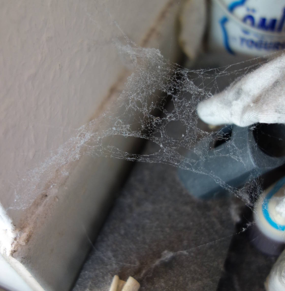 dusty cobweb with holes in corner of flat; photo