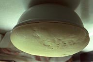 yeast dough –or a saucer hanging menacingly from the ceiling of Gulf Breeze? | photo