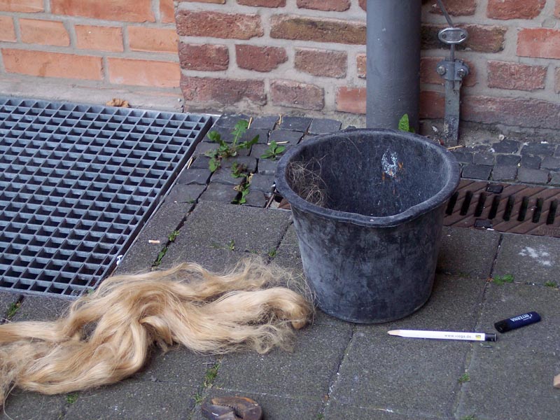 Rapunzel ist tot.